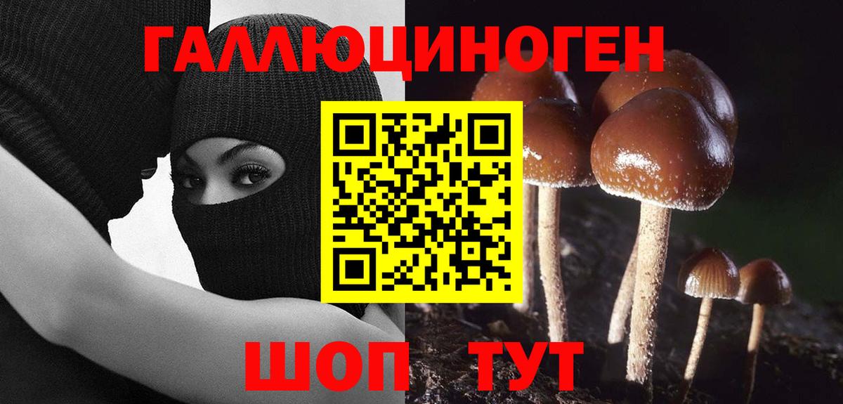 Похвистнево  Галлюциногенные грибы Psilocybine cubensis  Вход с VPN 